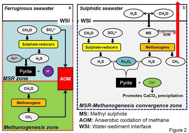 shenbing2.jpg shenbing2.jpg